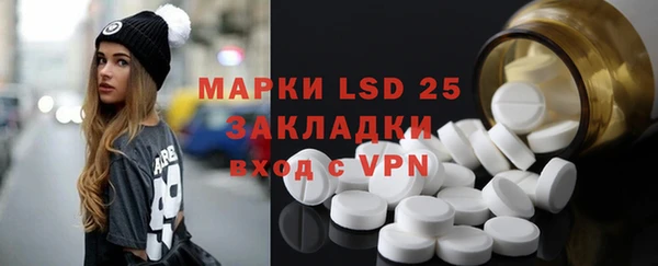 PSILOCYBIN Балабаново