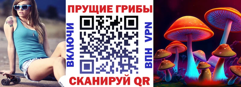 Галлюциногенные грибы Cubensis  Верхняя Салда 