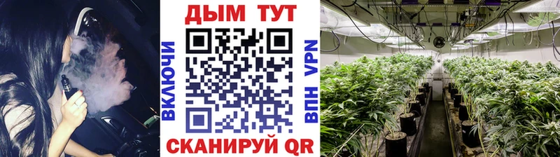 Шишки марихуана Bruce Banner  наркота  Верхняя Салда 